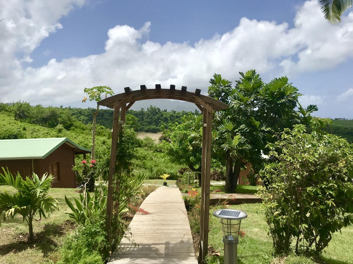 Residence Paradis Tropical Basse-Terre Exterior photo